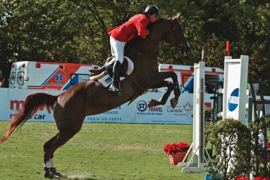 Hipismo movimenta 4,6 bilhões de reais e cresce 50% em cinco anos