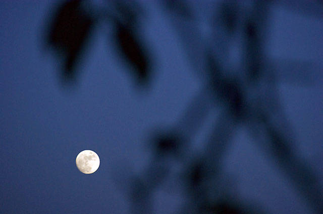 Lua (Foto: Flickr/Michael Riedel)