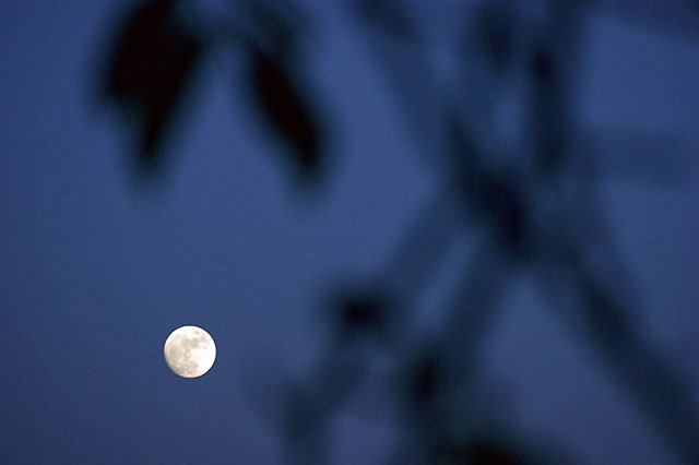 SONY DSC