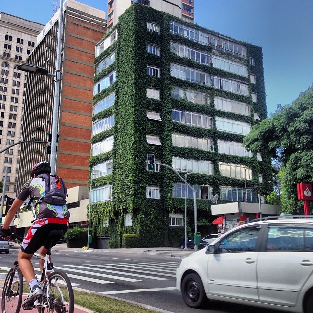 Na Faria Lima, Fernando Damas (@fhdamas) enquadrou este ciclista e o prédio coberto por um jardim vertical