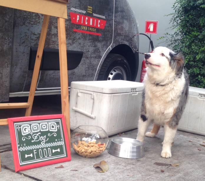 Ração e água: mimo para os cachorros que acompanham seus donos até o food truck