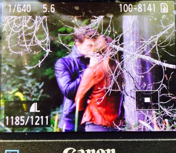 A cena do beijo, no Stanley Park, roubada de um fã