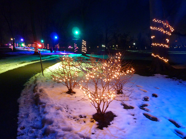 Olmsted iluminado no Natal (Foto: Maureen McLaughlin)