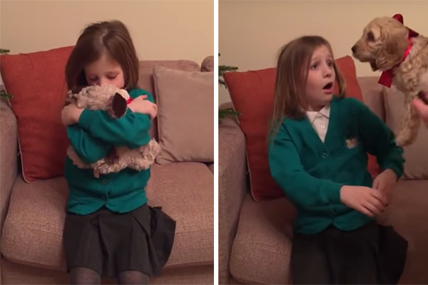 Pais realizam desejo de Natal de menina ao “transformar” cachorro de pelúcia em filhote de verdade