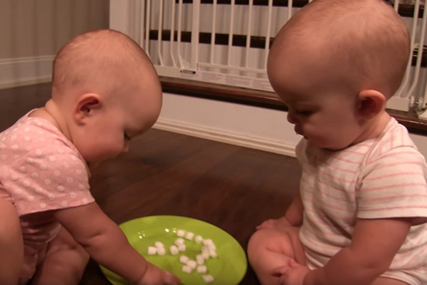 Gêmeas enlouquecem ao encontrar docinhos e resolvem dividi-los entre elas