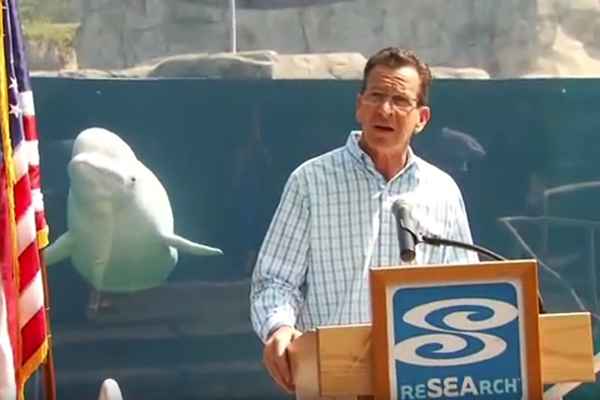 Baleia rouba a cena em entrevista de político e faz sucesso na internet