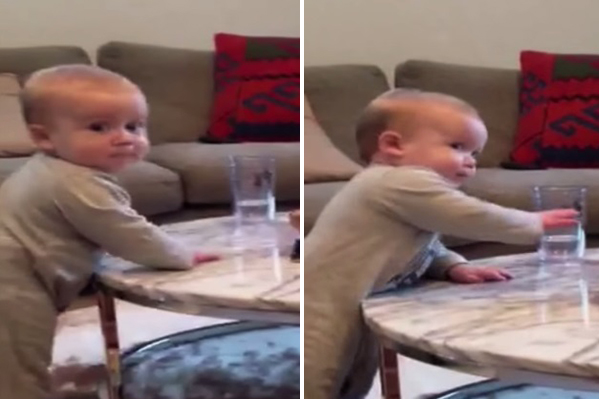 Garotinho travesso ameaça derrubar copo d’água em vídeo divertido