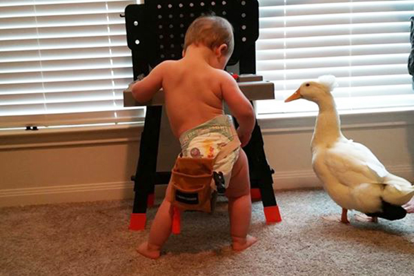 Este bebê é melhor amigo de um pato e a amizade deles está conquistando a internet