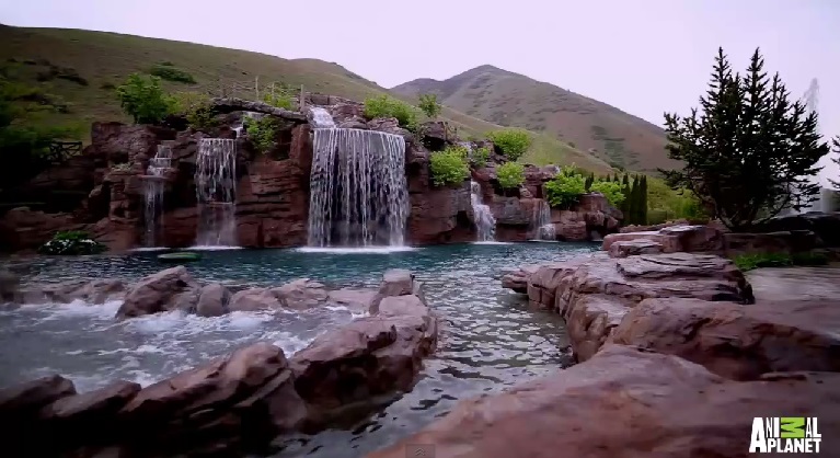 Piscina de 2 milhões de dólares com cinco cachoeiras e túnel para mergulho faz sucesso na internet