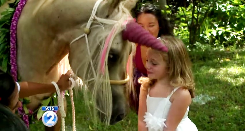 Garotinha com câncer realiza sonho de conhecer seu animal favorito, um unicórnio; assista