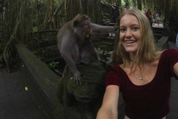 Selfie de macaco vira alvo de disputa sobre direitos autorais