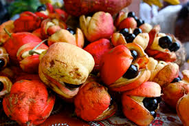 Fruta ackke, típica da Jamaica: trazida na bagagem pra dieta de Bolt
