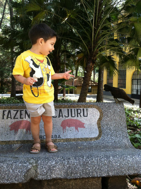 Theo frequenta o parque desde pequenininho (Foto: Reprodução)