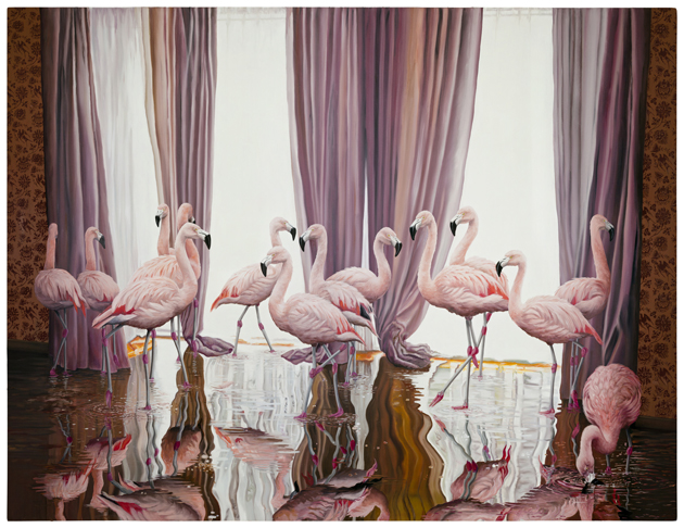 Flamingos