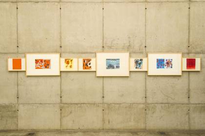 Antonio Malta Campos - Aquarela antonio-malta-campos_aquarelas-2016_exhibition-view_dudi-maia-rosa-jpg.jpeg