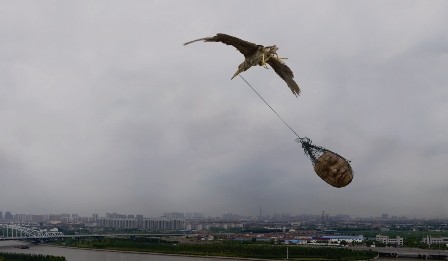 MAC: Exposição Arte Contemporânea Chinesa desde 2000