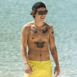 Harry Styles, da boy band britânica One Direction, mais parece um pirata de tantas tatuagens curiosas. Mas, de todas, a mais interessante é a de borboleta que ele tem logo abaixo do peito