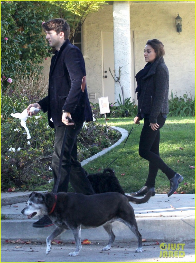 Semi-Exclusive... Ashton Kutcher & Mila Kunis Take Their Dogs For A Walk