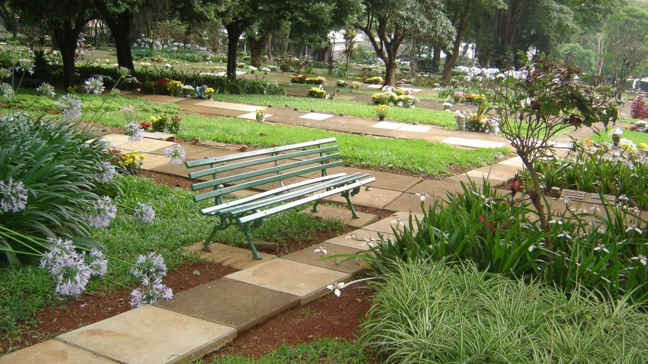 banco-cem.jpeg