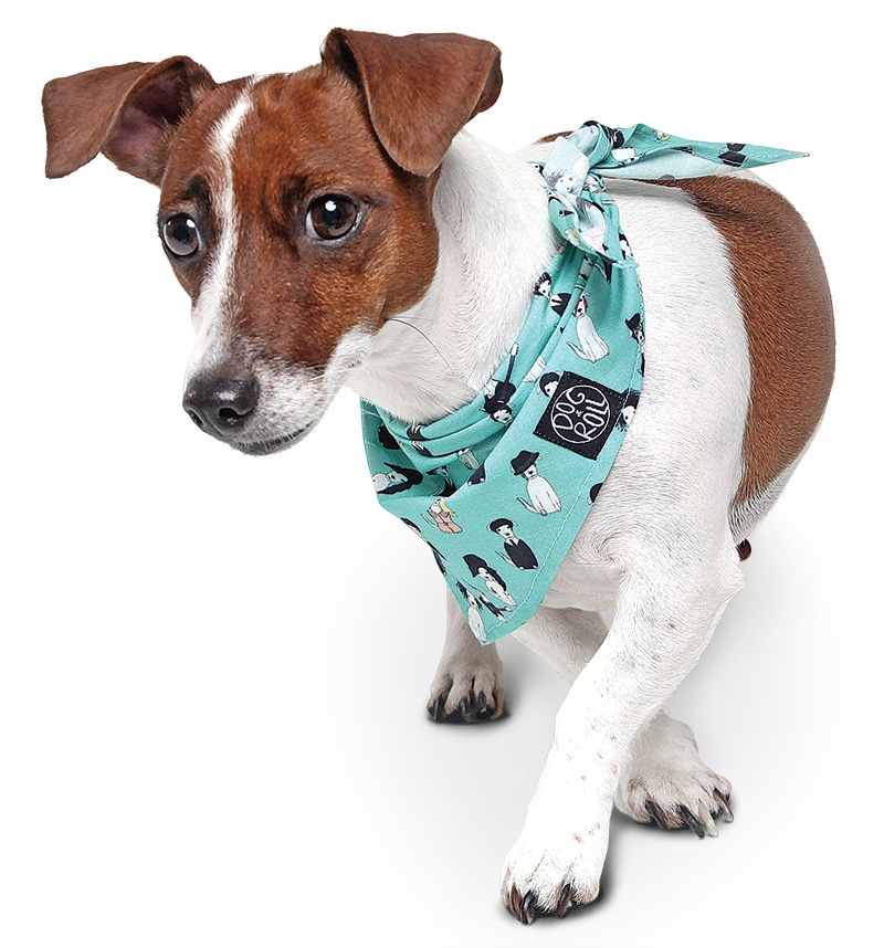 bandana-dogstar-blue-jpg