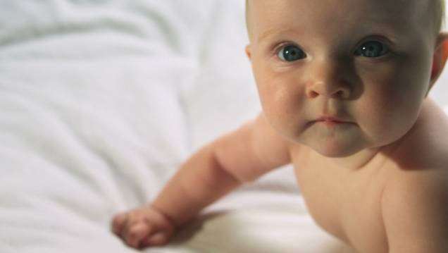 Blood Money - Aborto Legalizado: momento exato em que o feto é considerado um ser humano Blood Money - Aborto Legalizado: momento exato em que o feto é considerado um ser humano