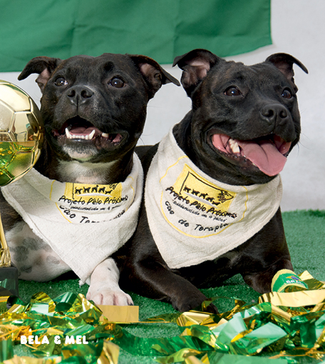 Instituição de animais terapeutas lança calendário para 2014