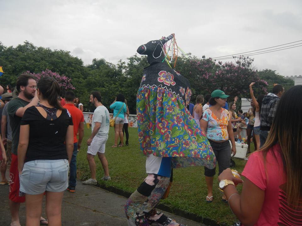 bloco-antiacademicos-do-baixo-pinheiros.jpeg