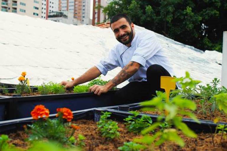 Vita: horta orgânica na laje irrigada com água de chuva (Fotos: divulgação)