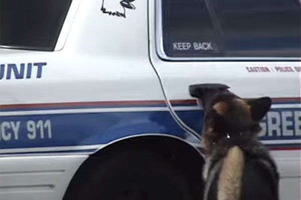 cachorropolicia