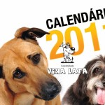 calendario2011-01-capa-82966