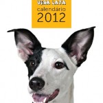 calendario2012-01-capa-294670
