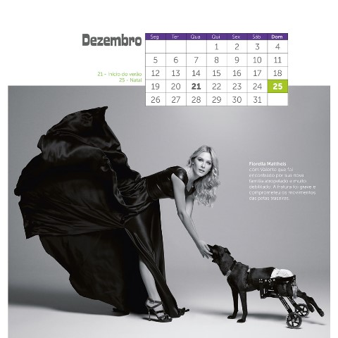 calendario2016_amparanimal190-jpg-jpeg