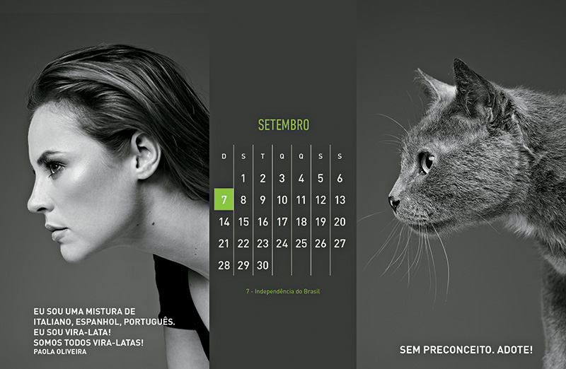 calendarioamparanimal201415-jpg