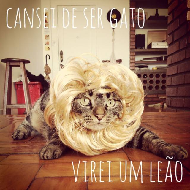 canseidesergato