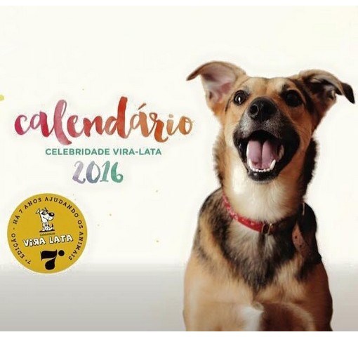 Capa do calendário do Celebridade Vira-lata: apenas cães sem raça definida (Foto: Divulgação)