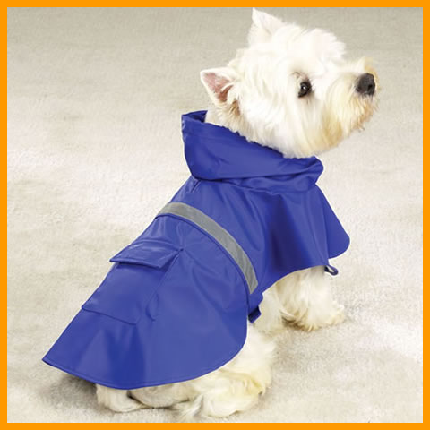 capa_de_chuva_cao_2