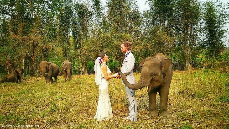 Noivos viajam pelo mundo para se casar 38 vezes, em doze países, passando por cinco continentes