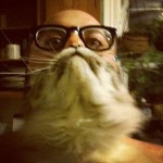 cat-beards-12