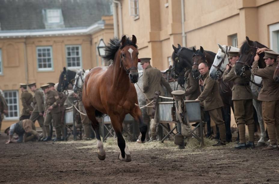 Cavalo de Guerra, de Steven Spielberg: foram usados 14 cavalos para interpretar Joey