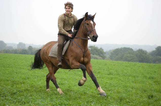 O amor incondicional entre um jovem e seu cavalo: Cavalo de Guerra
