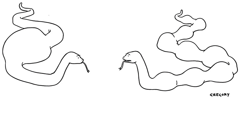 Cartoon – Cobra gourmet