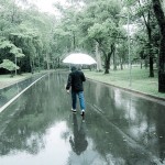 "A chuva me inspira", afirma Oswaldo Monteiro (@vovoswaldo), que registrou um visitante solitário no Ibirapuera