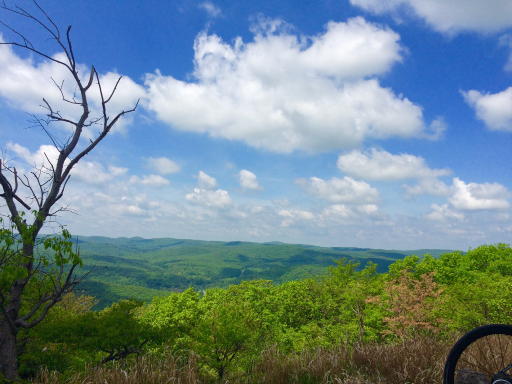 Vista da chegada na Mountain Bear (Arquivo pessoal)