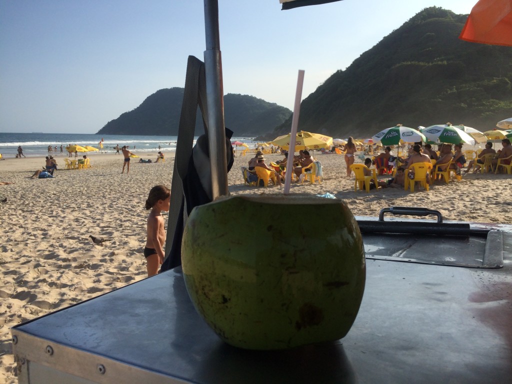 Preço do coco no litoral paulista vai de 4 a 8 reais (Foto: Fábio Lemos Lopes)