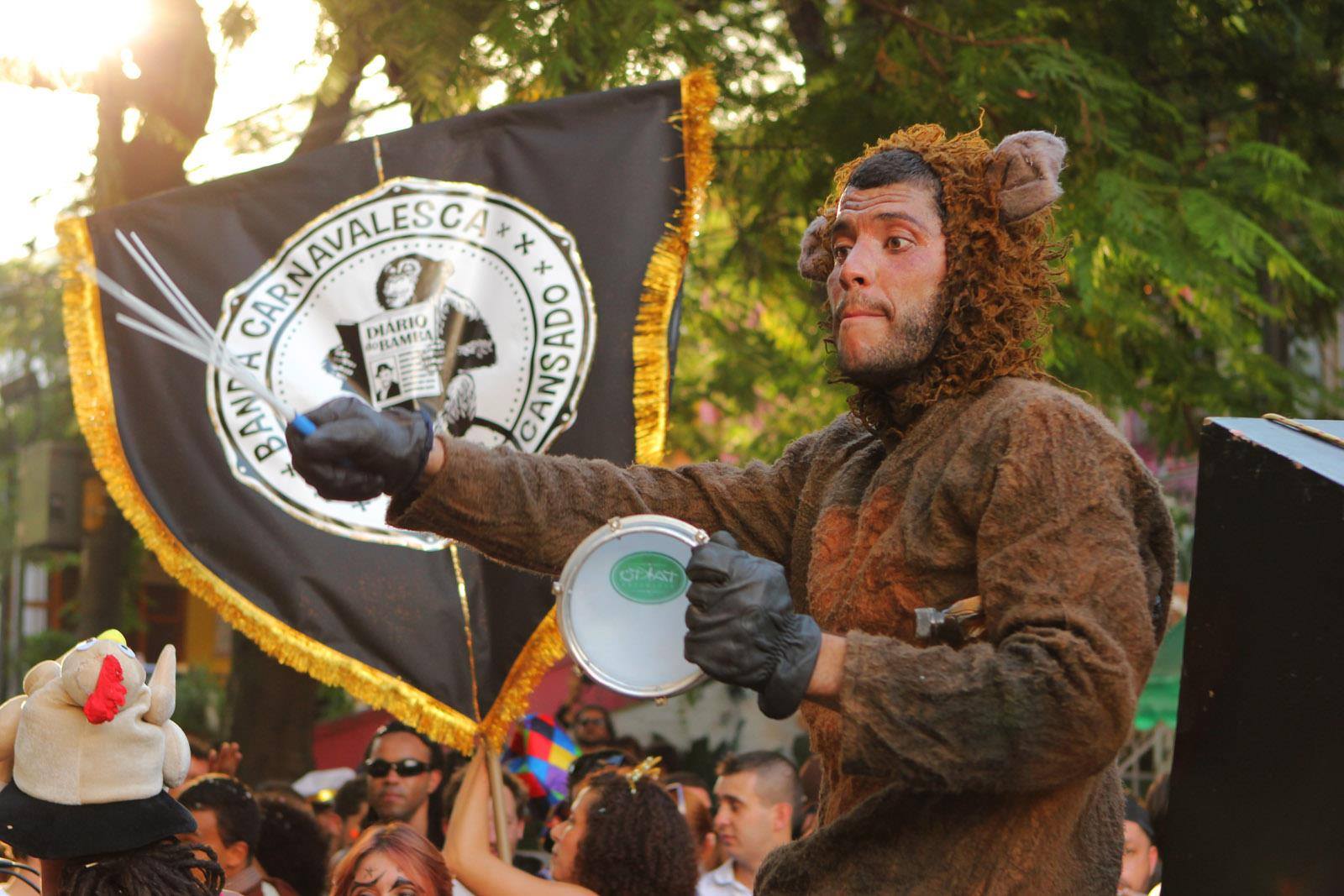 cordao-macaco-cansado.jpeg