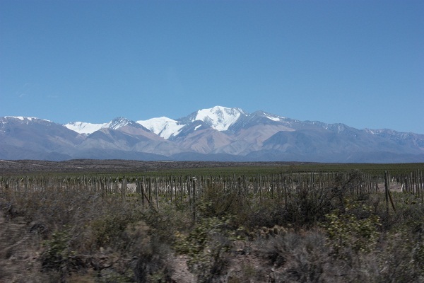 O Cordón del Plata, cadeia de montanhas dos Andes, é cenário constante dos vinhedos de Mendoza (Foto: Marcel Miwa)