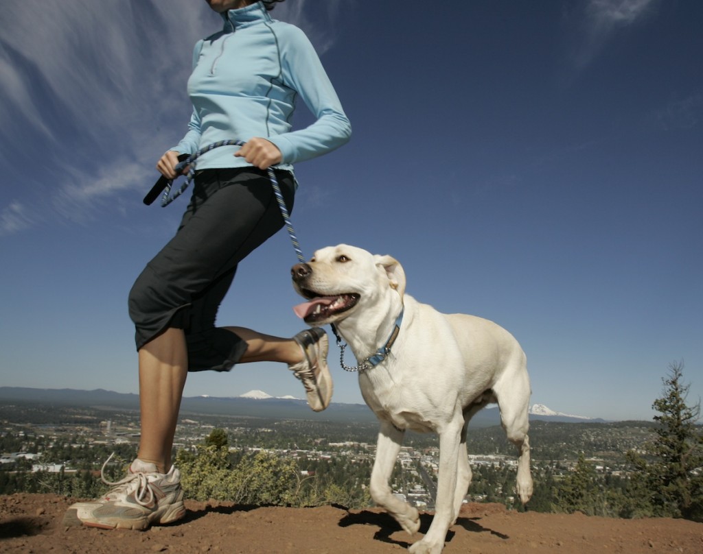 corrida-cachorro