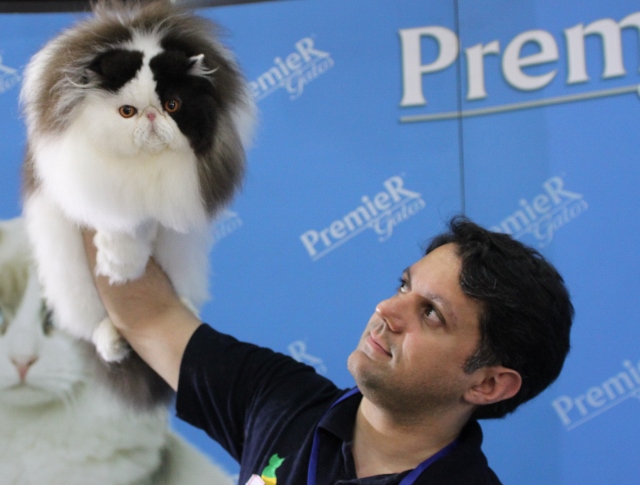 criador-exibe-seu-gato-persa_-cr%c3%a9dito_silviapratta_premierpet