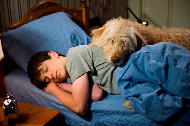 Diário de um Banana - Dias de Cão: filme foca nas férias de Greg Heffley