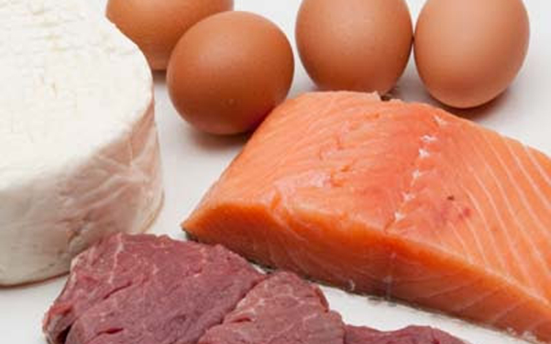 Some exemples of animal protein, eggs, cheese, fish, and